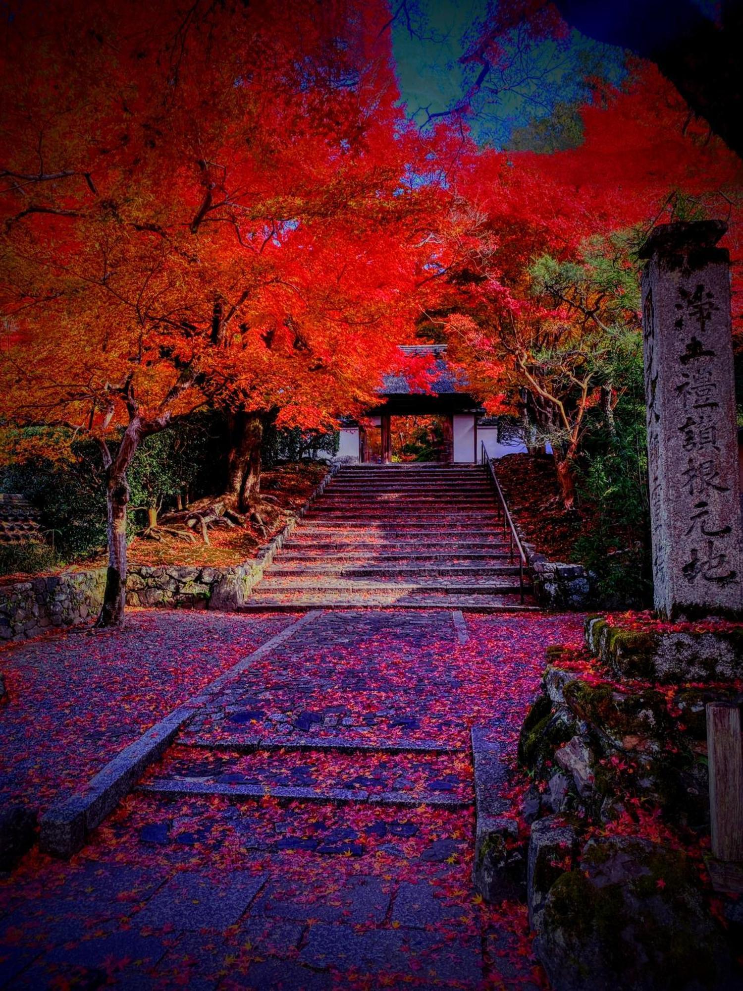 International Tani House Auberge de jeunesse Kyoto